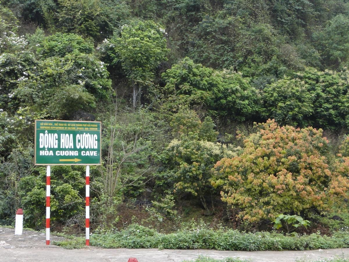 Anh Thuan Hotel 1 Cat Ba Island ภายนอก รูปภาพ