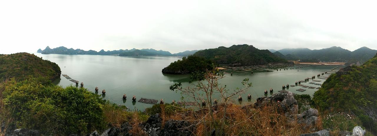 Anh Thuan Hotel 1 Cat Ba Island ภายนอก รูปภาพ