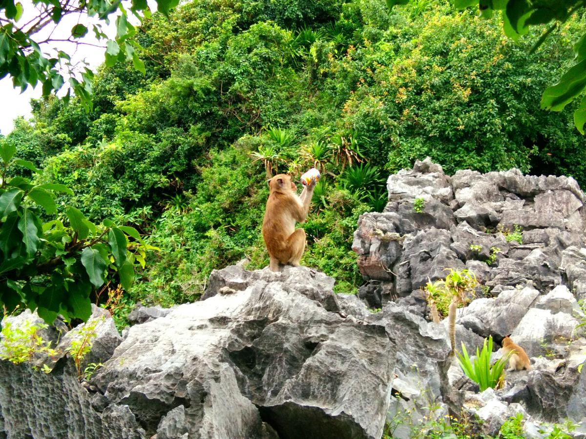Anh Thuan Hotel 1 Cat Ba Island ภายนอก รูปภาพ